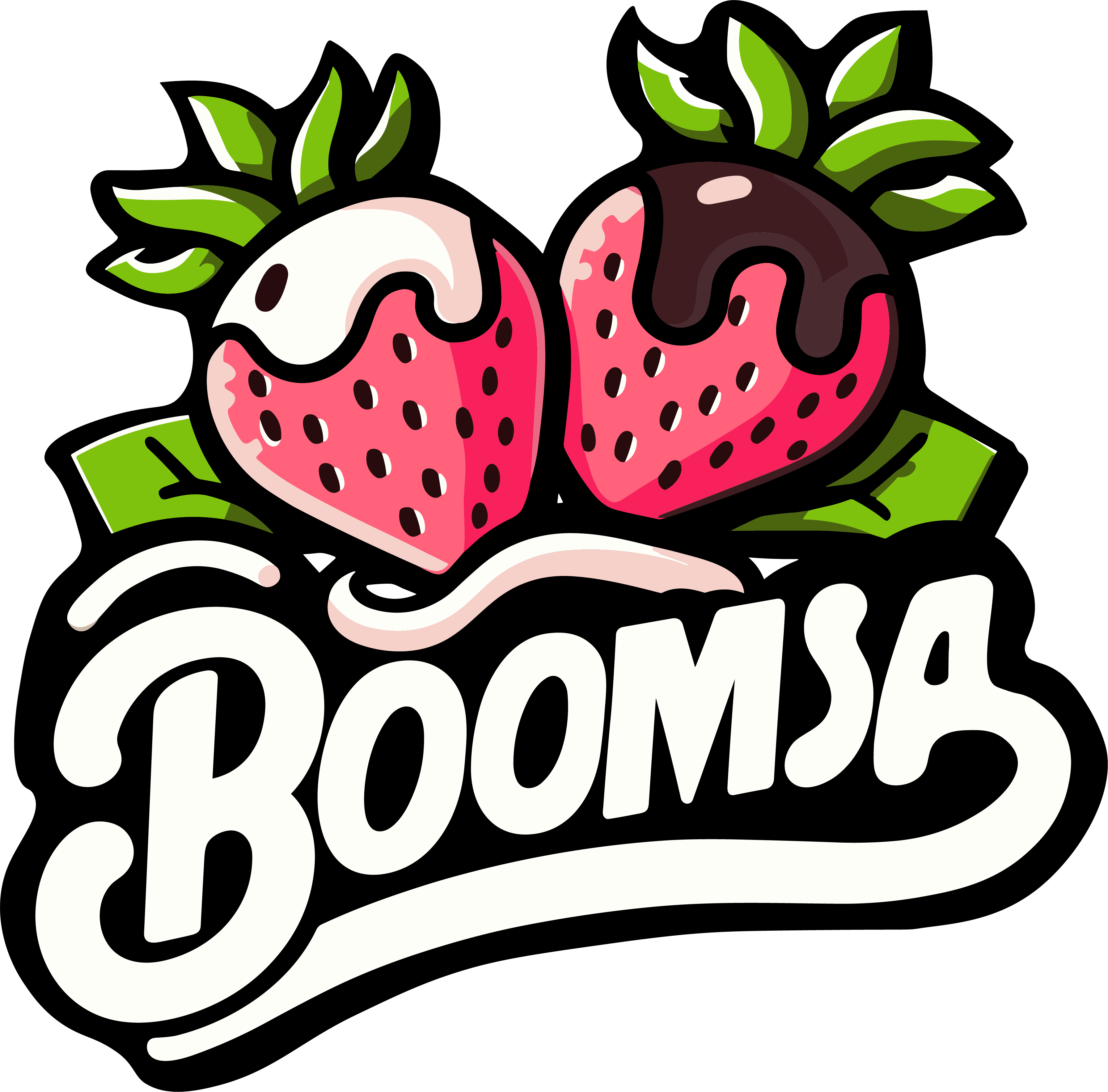 Recurso 7: Wordmark Boomsa